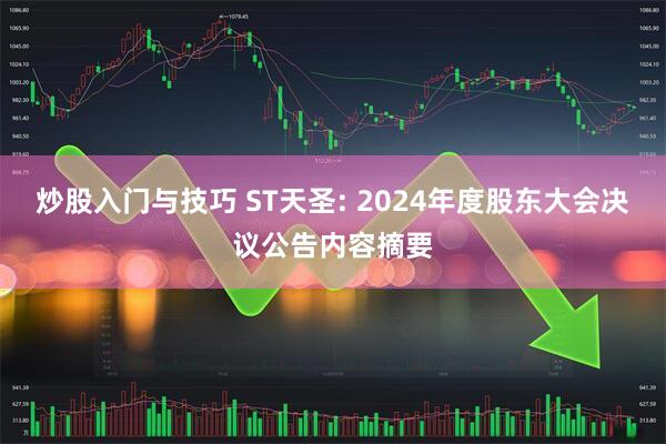 炒股入门与技巧 ST天圣: 2024年度股东大会决议公告内容摘要
